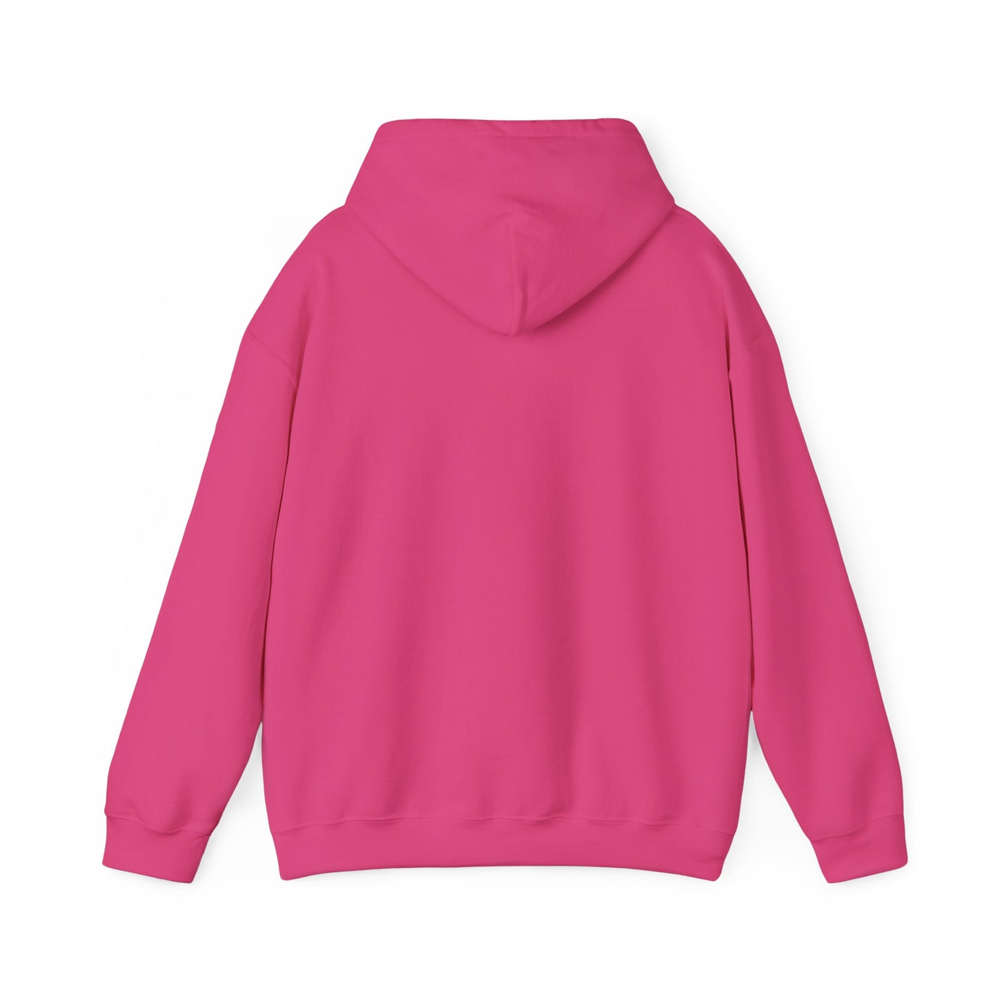 PBC HOODIE