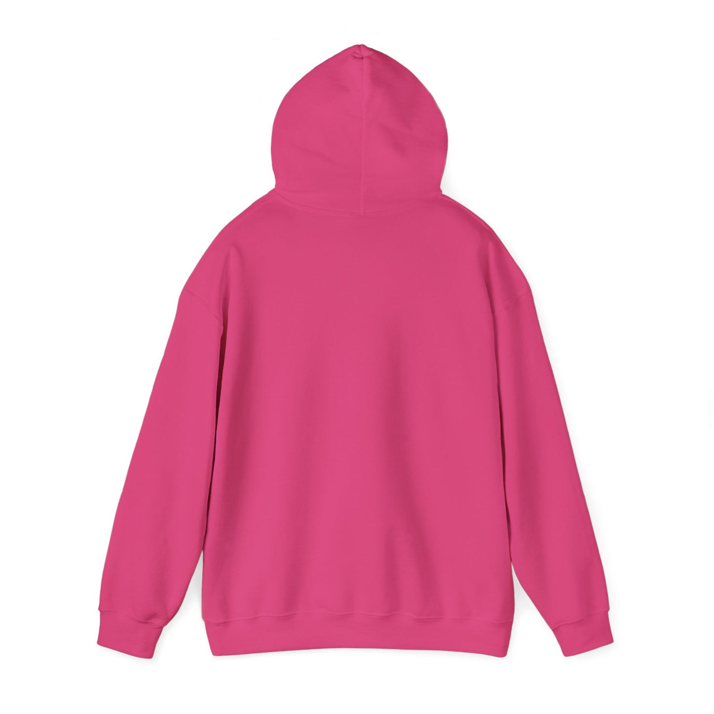 PBC HOODIE