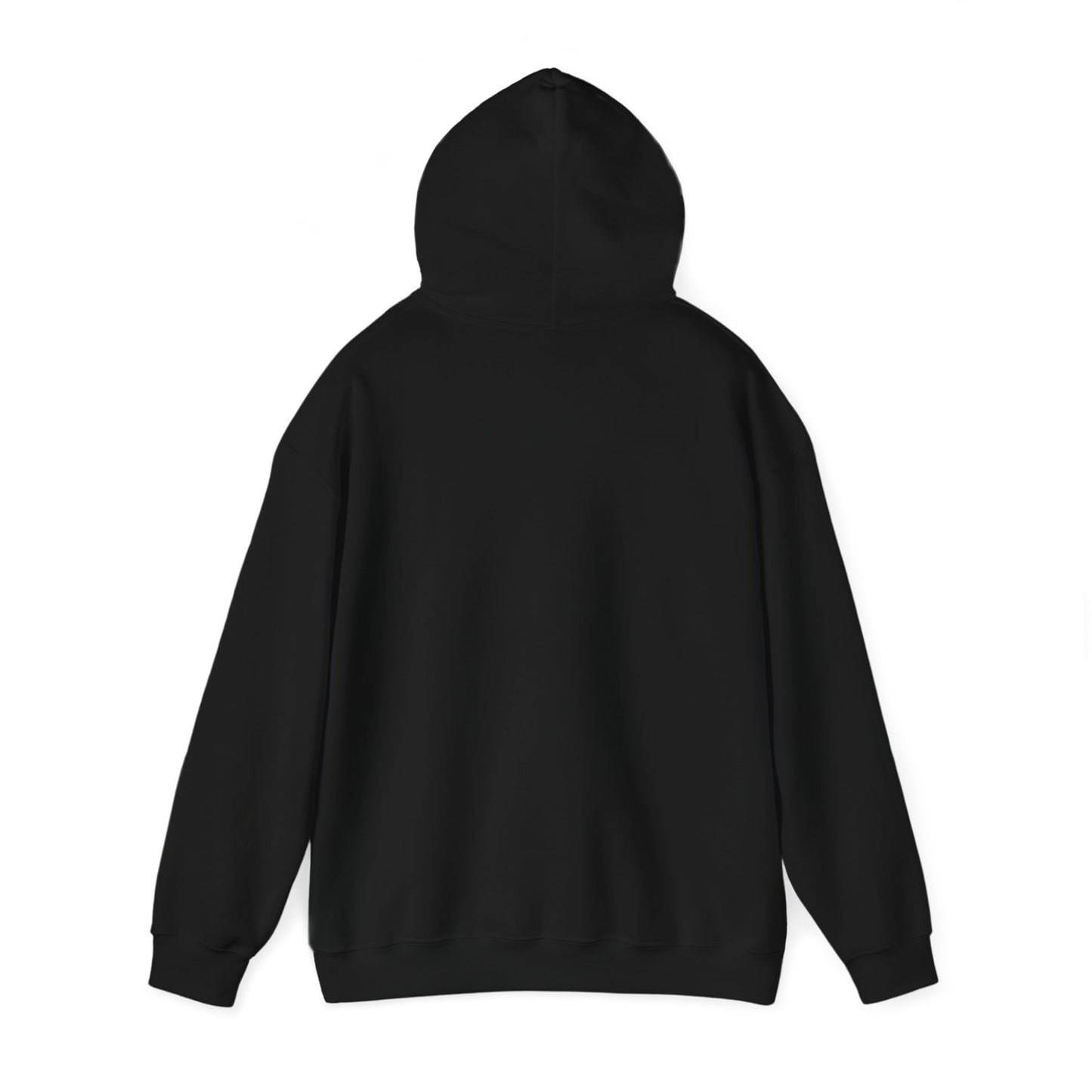 PBC HOODIE